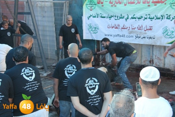 ada7y 116 n1 (50).JPG